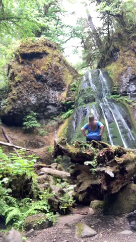 Care to come to my church with me? Nature is my vice and waterfalls are my favorite sanctuaries. I visited Spirit Falls today for some therapy. Enjoy and I hope you get outside soon! Xoxo 