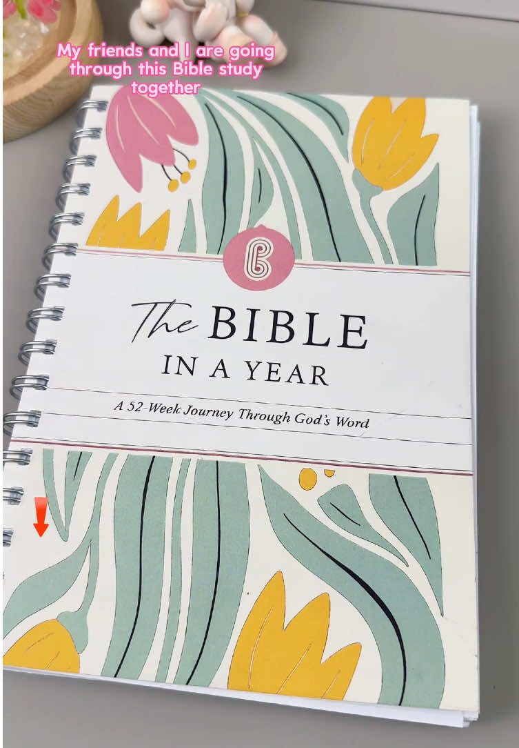#biblestudy #bibletime #christiantiktok #spotlightfinds #tiktokshoplabordaysale