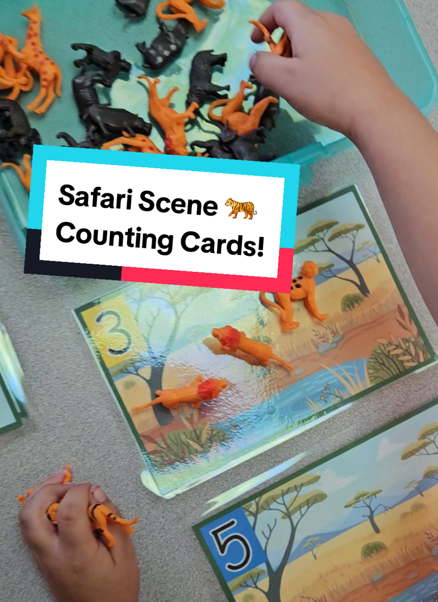 🌟 New in my TPT store: LunaLearning ❤️ Math station or small group safari scene counting cards! Just add inexpensive safari animals from DollarTree. #teachersoftiktok #tpt #teacherlife #kindergarten  #readingteacher 