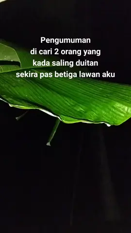 bacari kawan banar ai 😭😭 #ulunmanyarah🏳 #masukberanda #fyp #banjar #storytime 