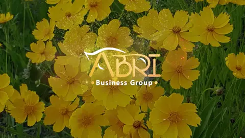 ABRI MOTORS ርሑስ በዓል ሓዱሽ ዓመት #tigray_ትግራይ #tigraytiktok🇻🇳🇻🇳tigraytiktok #ethiopian_tik_tok🇪🇹🇪🇹🇪🇹🇪🇹 