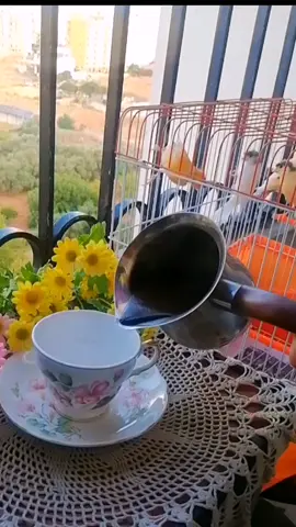 صباح الخير ☕ #صباح_الخير #فيروز #القهوة #morning #coffee 