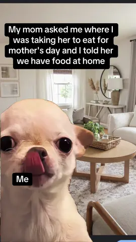 #Meme #MemeCut the table has turned 😈 