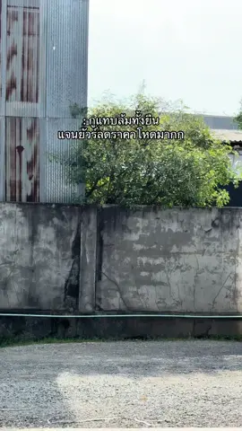 #อินจุน #แจนยัวร์ตัวดัง #น้ําหอมแจนยัวร์ #แจนยัวร์ 