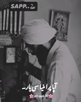 #foryou #foryoupage #punjabipoetry #jattsaab07 #aqibjatt04 
