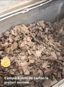 #pisici #catei #hrana #artificial #viral #goviral #videoviral #social #socialmedia #fyp #foryou #interespublic #tiktok #viralvideos #viraltiktokvideo #misiuneatiktok #tiktokromania #clips #forpage #follow #toatalumea #5pasidebine 