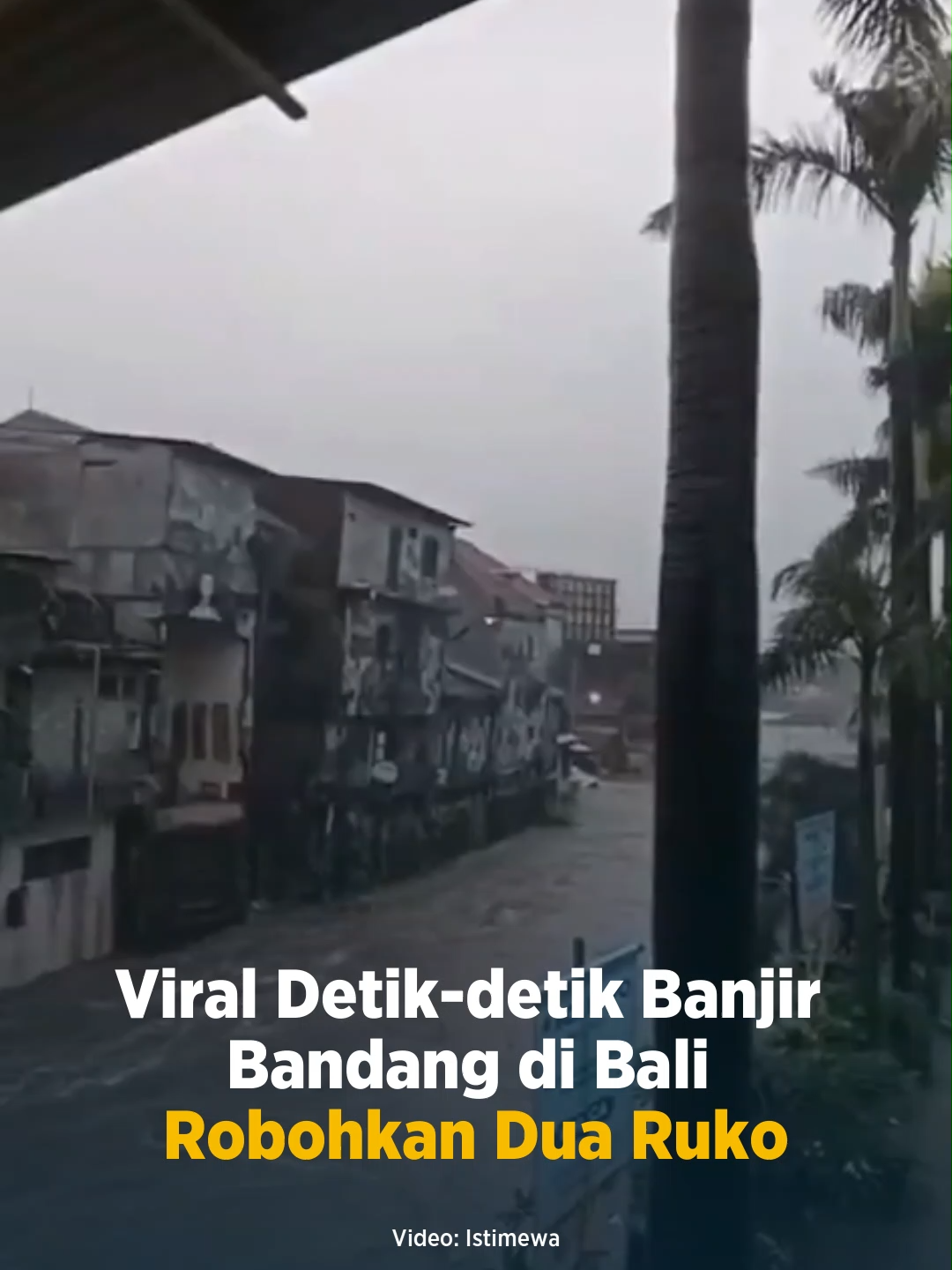 Hujan deras yang mengguyur Bali selama dua hari terakhir memicu banjir bandang di sejumlah wilayah. Di Kota Denpasar, bencana ini menyebabkan dua rumah toko (ruko) di Jalan Sulawesi, Denpasar Barat, roboh setelah tergerus arus deras Sungai Tukad. Ambruknya bangunan yang berdiri tepat di tepi sungai itu membuat warga sekitar panik. Rekaman video yang beredar memperlihatkan dua ruko runtuh seketika, sementara belasan ruko lain di sekitarnya tampak miring dan terancam ambruk. . #bali #bencanaalam #beritaviral