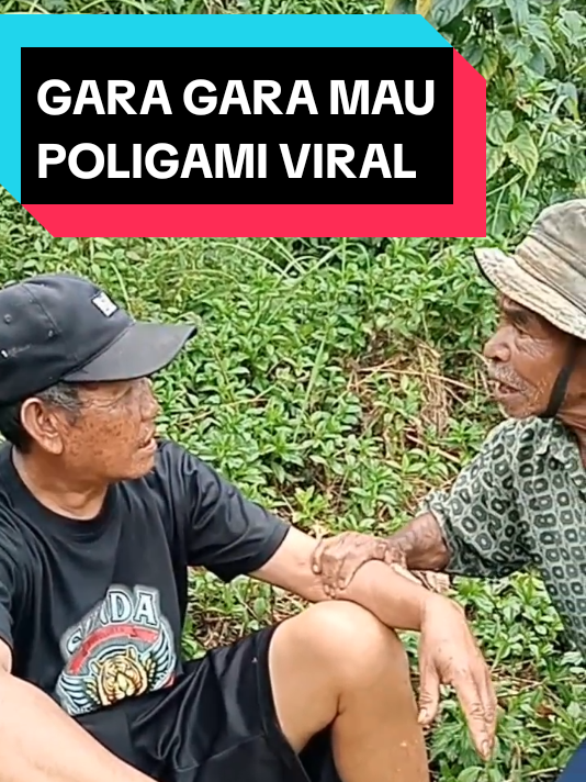 GARA GARA MAU POLIGAMI VIRAL#foryou #fypシ゚viral #viraltiktok #hiburan 