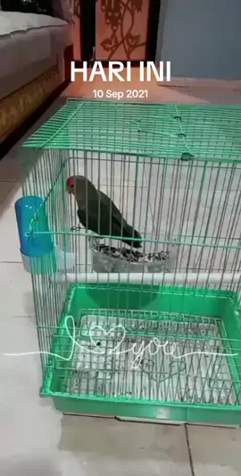 #padahariini kangen s'abud 🥺