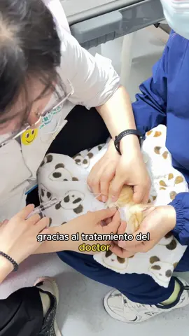 Conocí a un gatito con las piernas heridas en un día lluvioso.🥺#animals #foru #lovestory #kindness 