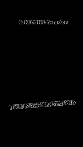 WA 0812-4926-8512 #bulumacanlumajang #bulumacan #bulumacantigerglass #basalticktigersglass 