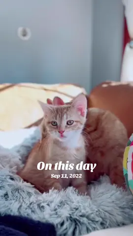 #onthisday 