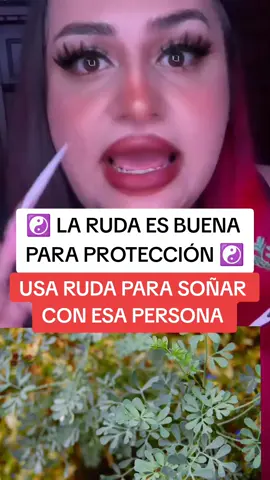 PON RUDA  BAJO DE TU ALMOHADA TE VAS A PROTEGER Y A LIMPIAR #witch #witchy #witchlife #witchcraft #witchtok 