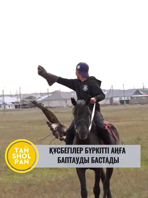 🦅Құсбегілер бүркітті аңға баптауды бастады  Астаналық құсбегілер қыран құстарын түлектен шығарып, алдағы аңшылық маусымға дайындап жатыр. Құсбегілердің айтуынша, бүркітті жаз айларында ұшыруға болмайды. Қыранды наурыздан қыркүйекке дейін түлетіп, ерекше күтіммен баптайды. Күнтуғандар әулеті – елордадағы белгілі құсбегілер әулеті. Саятшылықты ата-бабадан мұра еткен олар бүгінде бірнеше республикалық және халықаралық турнирлерде топ жарып үлгерген.
