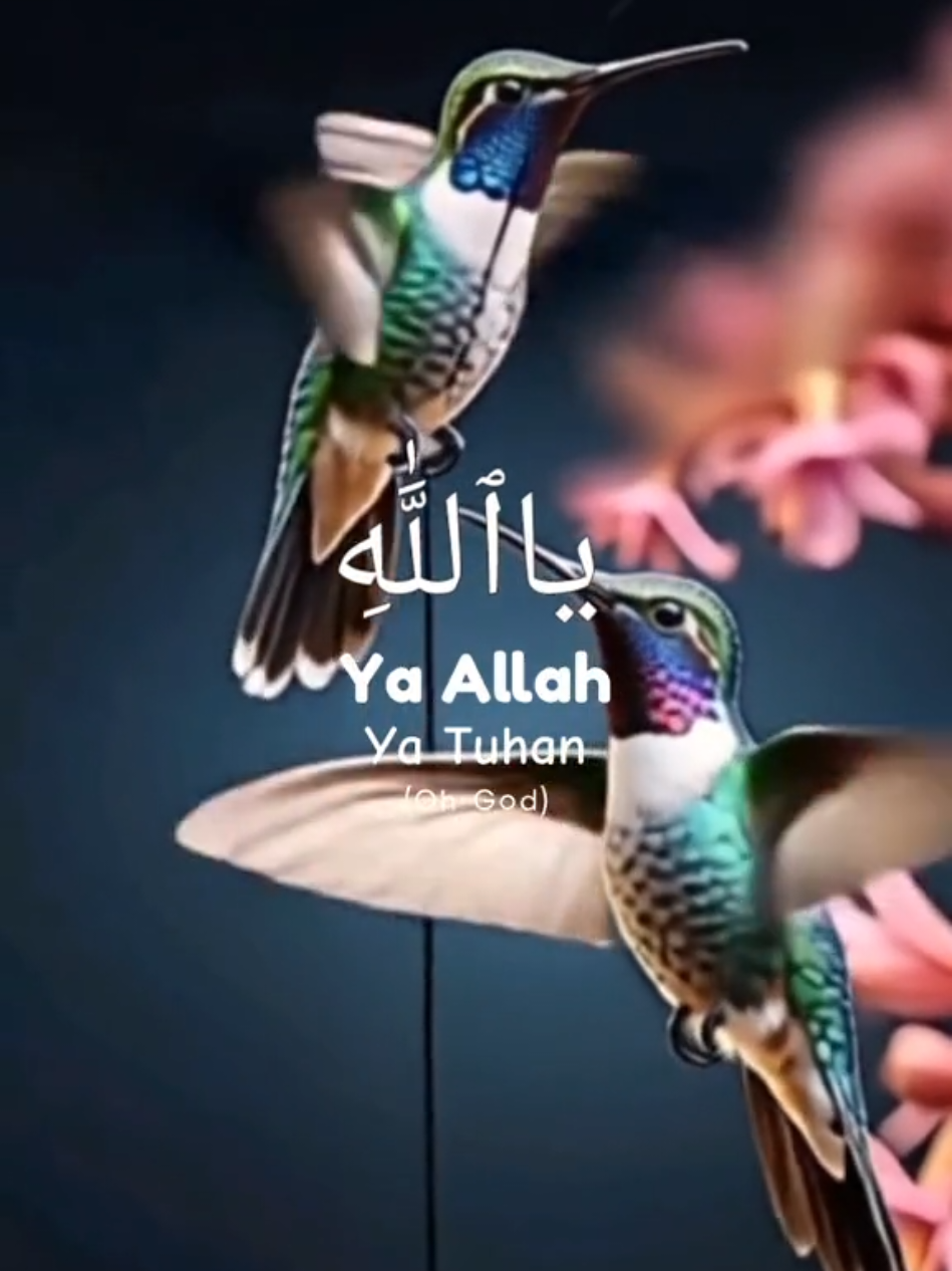 Suggested title and hashtags Title: Live Quran Recitation Experience #99namesofallah , #allah❤️ , #tiktoklive , #learnislam , #creatorsearchinsights 