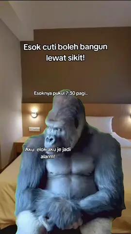 Sumbak molekkk🤣