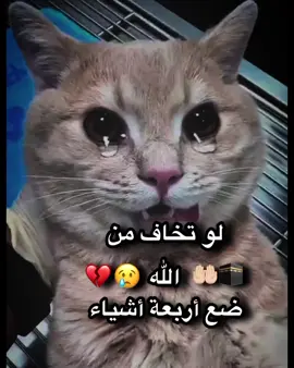 هذا حطيت كل شي ربي يحطك في الجنه #اكتب_شي_توجر_عليه #الجنه 