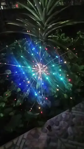ganda nito for garden at solar na rin #christmaslight #solarchristmaslight #gardenchristmaslight 