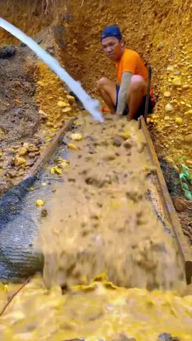 Such a good gold panning resource, the current gold price is 829 grams, and I want to make a fortune.