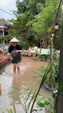 Nước lũ về là ngập nhà nay nấu nồi canh sim lo món ăn đặc sắc của người khmer #bichhuongmientay #monngonmoingay #xuhuongtiktok #nauankhongkho