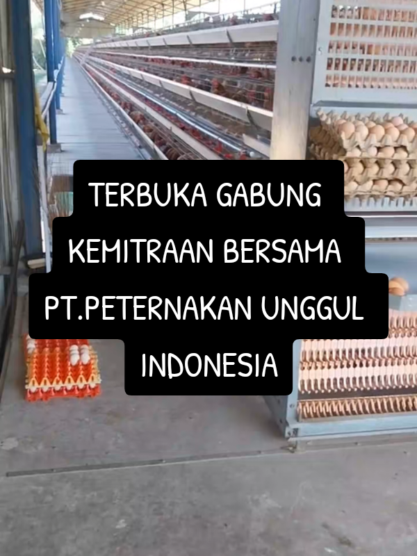 #KemitraanAyamPetelur #BisnisAyamPetelur #UsahaPeternakan #InvestasiPeternakan #MitraAyamPetelur