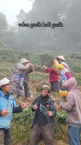 di gawe bungah bae udan gasik ya kudung plastik mgkt bali