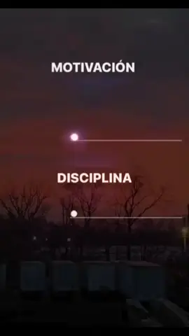 Disciplina & Motivación. #creatorsearchinsights 
