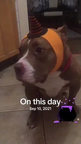 #onthisday 