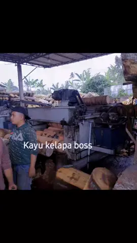 Veneer kayu kelapa Bosque  😅😅😅🌴🌴🌴 siap siap 🤣 #veneerkayukelapa  #pohonkelapabahanveneer #janganlupangopi  #kerasnyakehidupan  #fyppppppppppppppppppppppp 