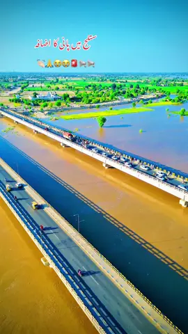 یہ کونسی جگہ ہے، اس وقت جلالپور پیر، والا، ہر طرف سے پانی کی لپیٹ مِیں،😭👏🏻🙏📢🚨#سنگت_ویڈیو_وائرل_کریسو_آپ_ہیں🥀🌼🙈✨🎇 #hafizshahidowaisi92 #unfrezzmyaccount #viralvideo #pppppppppppppppp @hafizshahidowaisi92 Uk @Zunair Kamboh @Shahid Owaisi.92 🦅💫 @AsadBinSanaUllah🖋 @Khizar Omer @Sid Mr. Rapper🔥 @Multanmobilesofficial @~♡ᴬᵗᵗⁱᵗᵘᵈᵉ_ᴳⁱʳˡ♡😎~ 