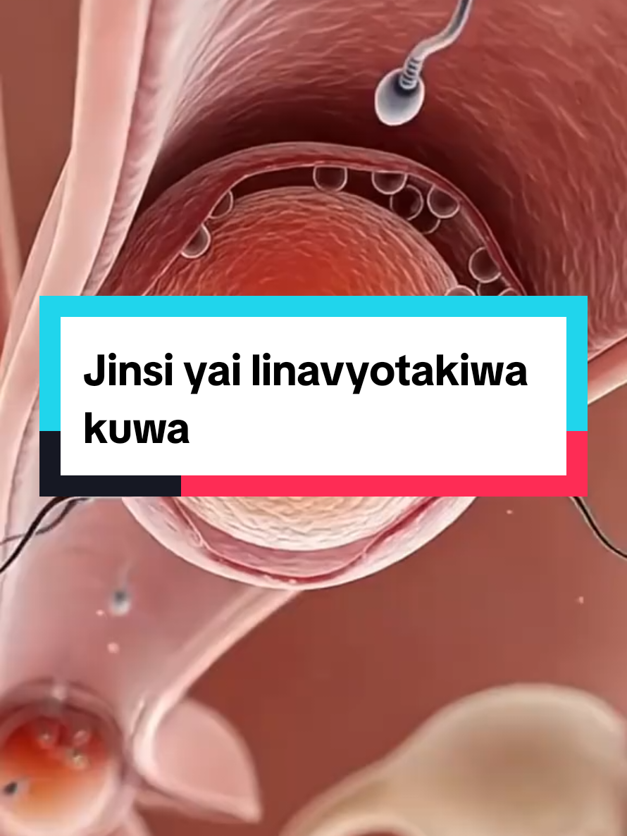 #drcaroline #tanzaniatiktok #twins #fertilization #pregnancy 