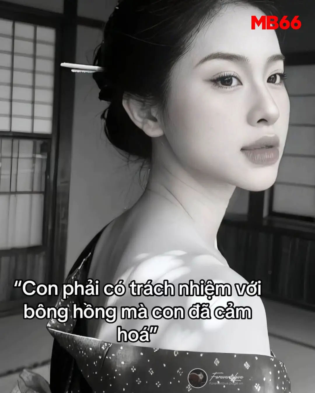 #xuhuong #fyp 