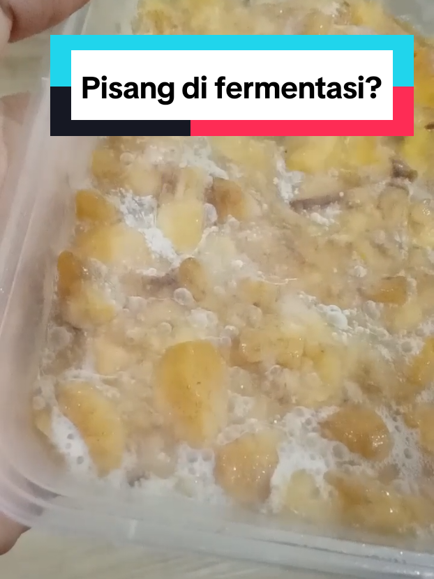 fermentasi Pisang, prebiotik alami #fermentasi #prebiotik #sehatalami #makanan 