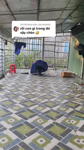 Trả lời @imivuiti 