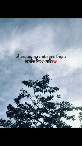 জীবনে সমুদ্রের সমান দুঃখ নিয়েও হাসতে শিখে গেছি!❤️‍🩹 #foryou #banglacaption #sadcaption #emotionalvideo #fyp 