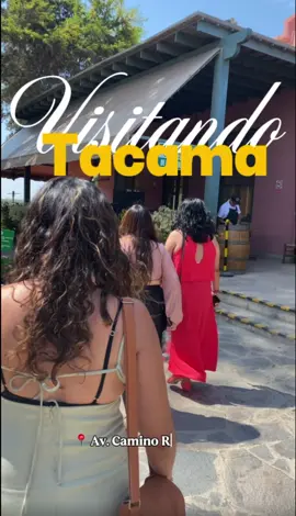 Points que no puedes perderte - parte 6✨ Hace unos días me fui de escapadita con mis amigas a un lugar ESPECTACULAR… 🌿💫 ¡Sí, estoy hablando de tacama ! Ubicados en 📍 Av. Camino Real 390- La Tinguiña Ica, Peru 😍 Desde que llegamos nos sentimos en un paraíso campestre 🌞💐 Rodeado de naturaleza, súper tranquilo, con esos rincones lindísimos para tomarte la foto perfecta 📸✨ Y no saben lo rica que estuvo la comida 😩🔥 ¡Qué delicia por Dios! Cada plato más rico que el otro, y perfecto para disfrutar con ese vinito que solo Tacama sabe hacer 😍🍷 Nos paseamos por TODO el lugar, cada espacio tiene su encanto ✨ Terminamos el día felices, relajadas y con el corazón llenito 🥹💕 Si están buscando un plan diferente, bonito y sabrosón, ¡Tacama es el lugar! 😍 No se olviden de seguirme para visitar a más lugares bonitos en ica 🌍💫 ¡Nos vemos en el próximo destino! #Tacama #ica #FoodieTrip #EscapadaCampestre #BuenComer 