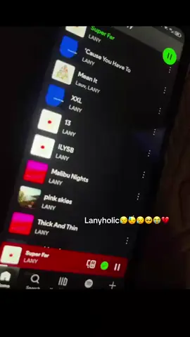 😭😭 #lany #fyp #foryou #foryoupage #trending 