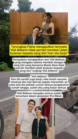 Vidi Aldiano tidak pernah memberi nafkah ke sang istri