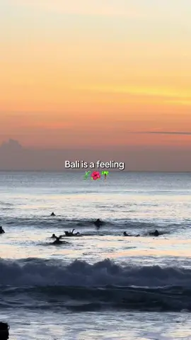 Toi aussi tu rêves de venir à Bali? 🌞🩷🪸 J’ai créé le guide que j’aurais rêvé d’avoir en arrivant ici pour 9.99€ seulement : * Mes adresses secrètes & coups de cœur * Des hébergements testés (hostels, guesthouses, hôtels & villas) * Des idées d’activités ville par ville * Des itinéraires complets (1 à 4 semaines) selon ton profil : solo, couple, famille, amis… Ce guide, c’est bien plus qu’un carnet d’adresses : c’est une façon de vivre Bali avec profondeur & authenticité. Bonne lecture… et surtout, bon voyage dans ce coin de paradis 🌞🏄‍♀️🪸🌴🌺 👉 Retrouve-le dans ma bio ! #baliguide#voyagebali#ubud#canggu#bali