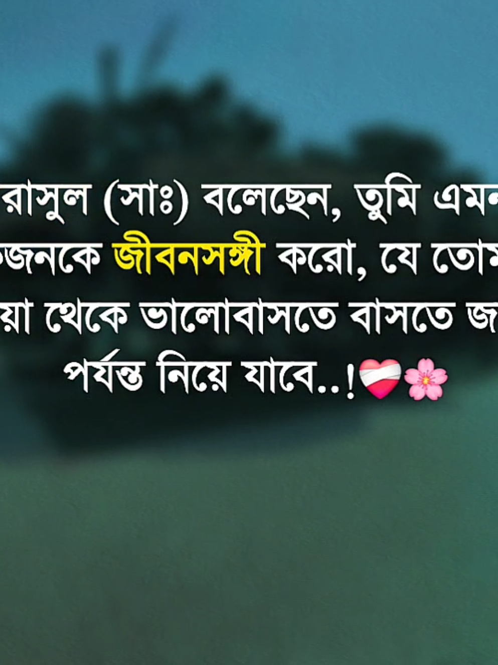 রাসুল সাঃ বলেছেন, তুমি এমন একজনকে জীবনসঙ্গী করো, যে তোমাকে দুনিয়া থেকে ভালোবাসতে বাসতে জান্নাত পর্যন্ত নিয়ে যাবে.!!❤️‍🩹🌸 #foryou #viralvideo #foryoupage #trending @TikTok Bangladesh @TikTok 