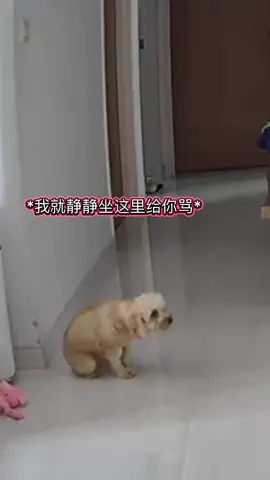 我狗成精了