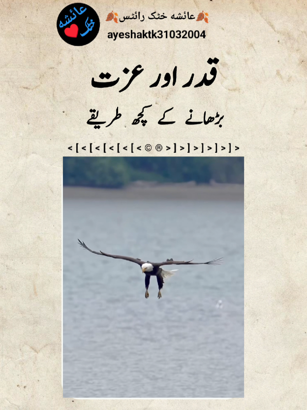 قدر اور عزت بڑھانے کے کچھ طریقے  #ayeshakhattakwrites #trendingvideo #trendingsound #fypシ #pixelart 