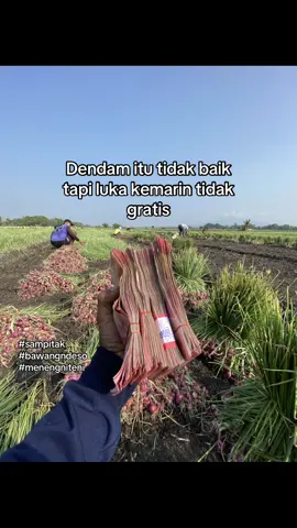 Ancen aku meneng tapi, tapi menengku karo niteni🥶#fyp #sampitak 