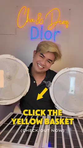 Ganda😍 #diorcaelan  #chaanddenz  #gayandlesbiancouple #solarlights #solarpanel 