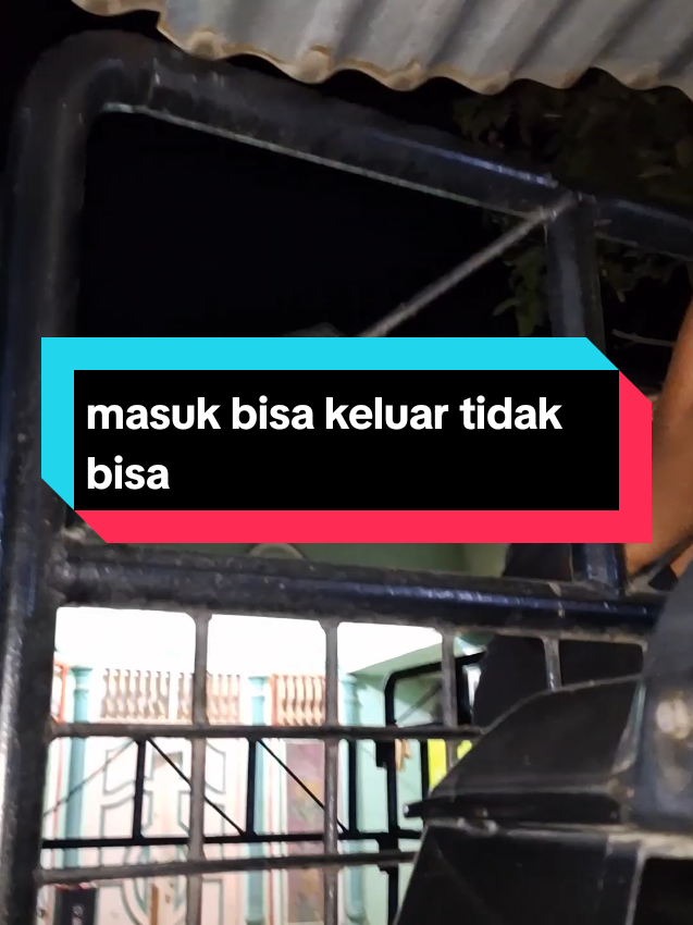 masuk bisa keluar tidak bisa#arang #kayu #pekerjakeras #fyp 
