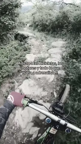 #donwhill #mtb 