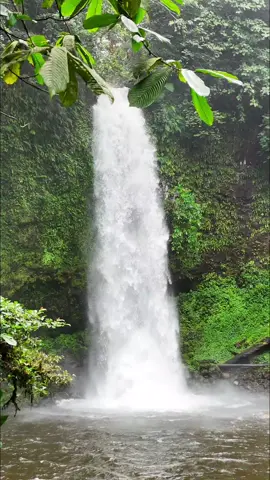 In every end, there's a new beginning wartelfall tengkuyung along with the background and pacat 🌱🌿🍀🪾🍃🍂🌻🦟🪰🪱🦗🐞🐝🐜🐛🐚🐌  lokasi air terjun : dusun semadum (dawar baru)desa pisak kec.tujuhbelas kab.bengkayang. #waterfaal  #tengkuyung  #nature  #sanggauledo_kalbar  #kalbarborneo 