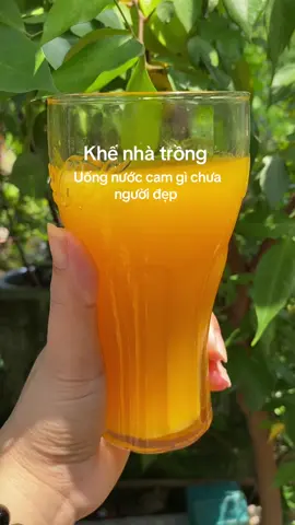 #hashtagthinhhanh #hashtagstiktok #hashtagxuhuongtiktok #xuhuongtiktok #vuicungtiktok 