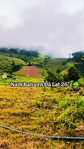 Nam Ban Lâm Hà săn mây xế chiều ☘️☘️🌿🌿 #vendalat #nambanlamha 