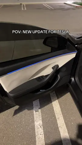 only works for 2024 and 2025 models 🔥 #tesla #update #ravecave #foryou #fypシ 